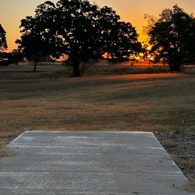 Hole 7- Mighty Oak, Black and White Tee