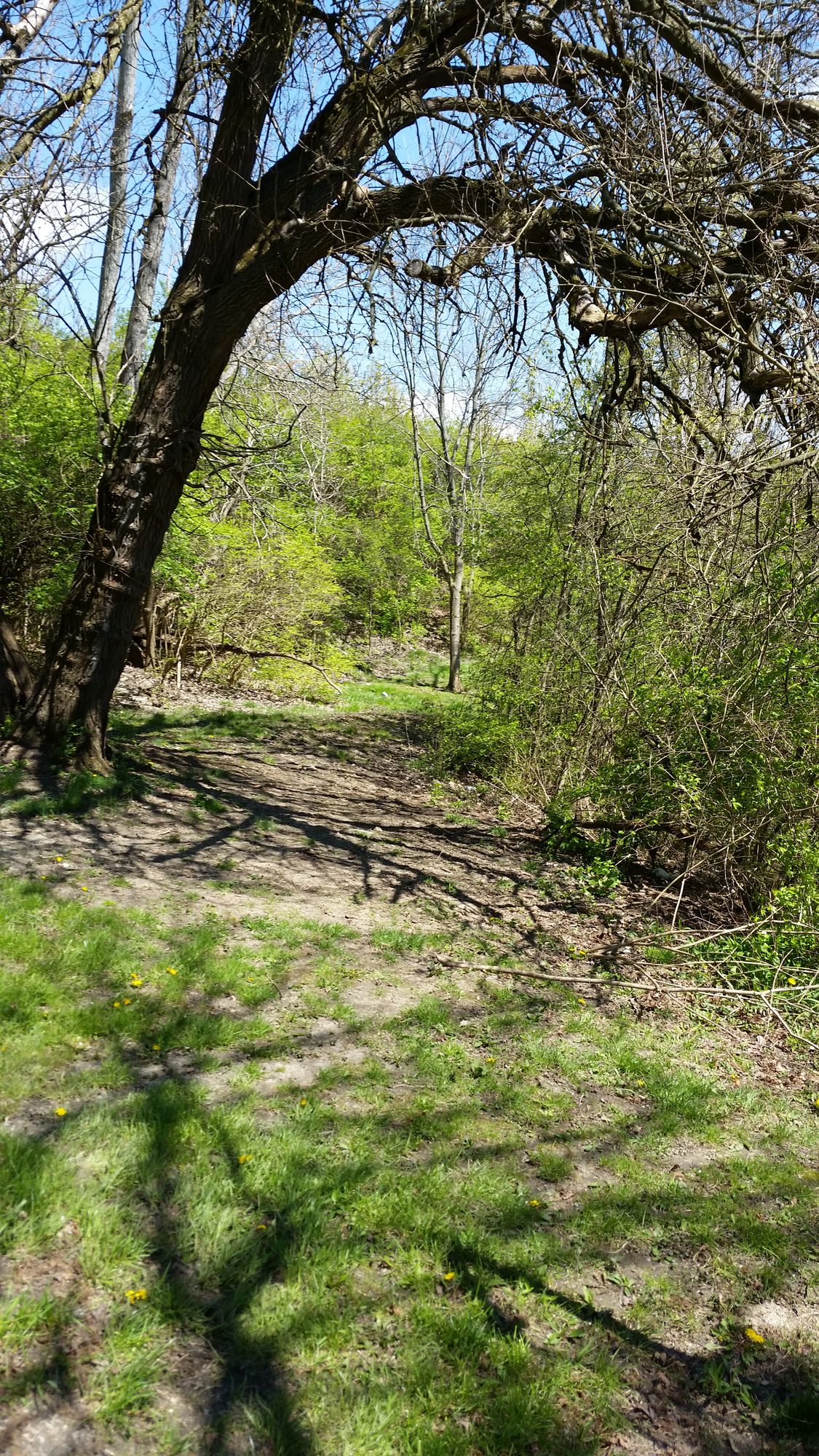 Hole 2