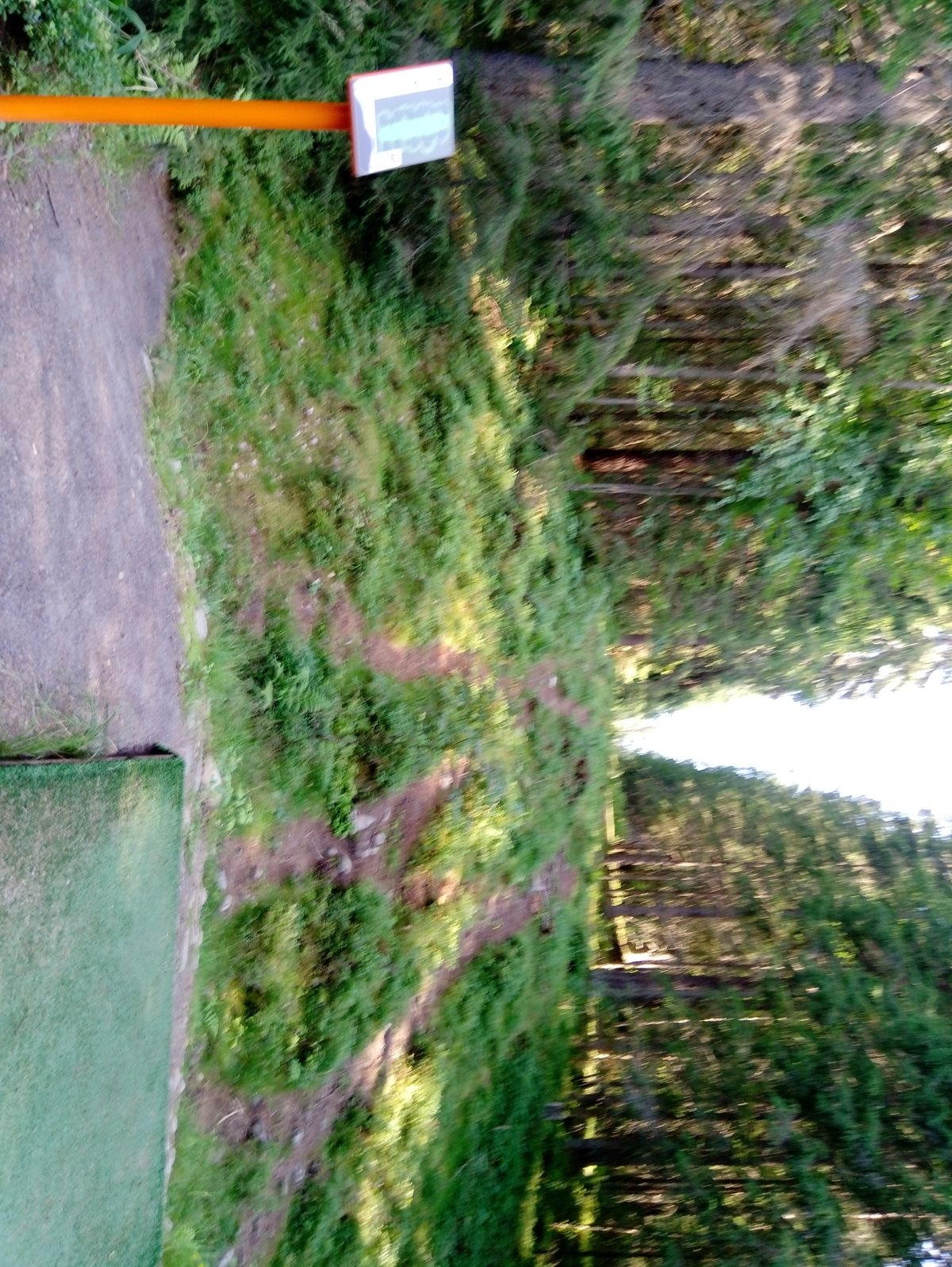 Hole #3 (21.7.2022).