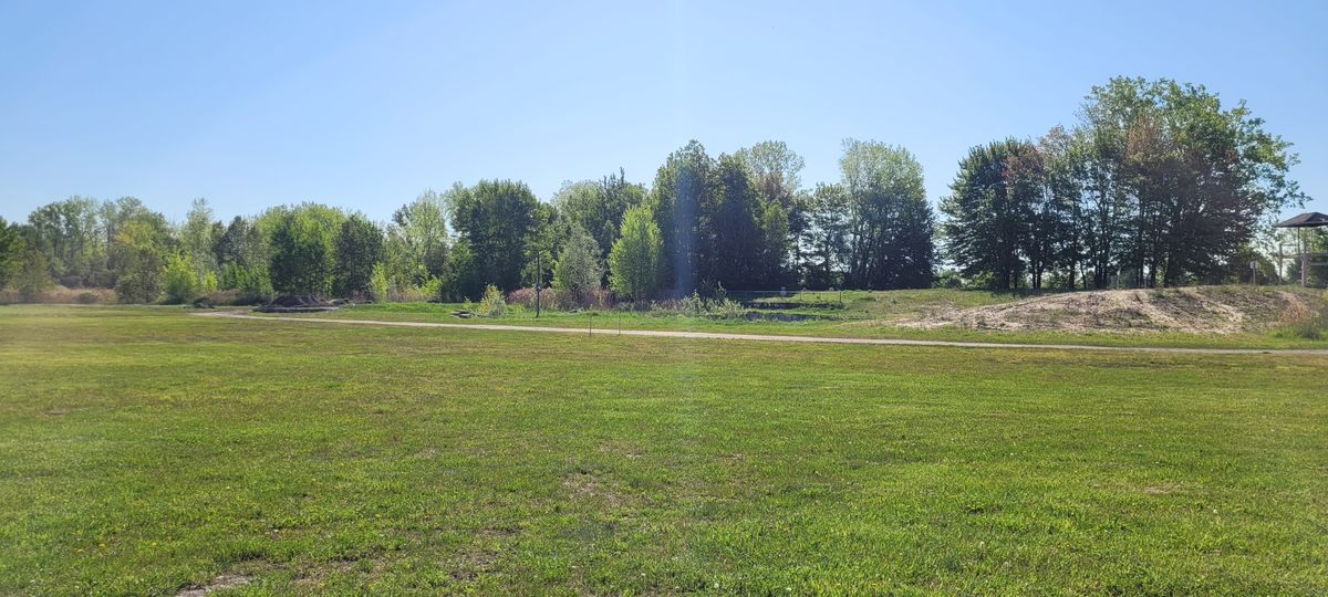Fairway 3