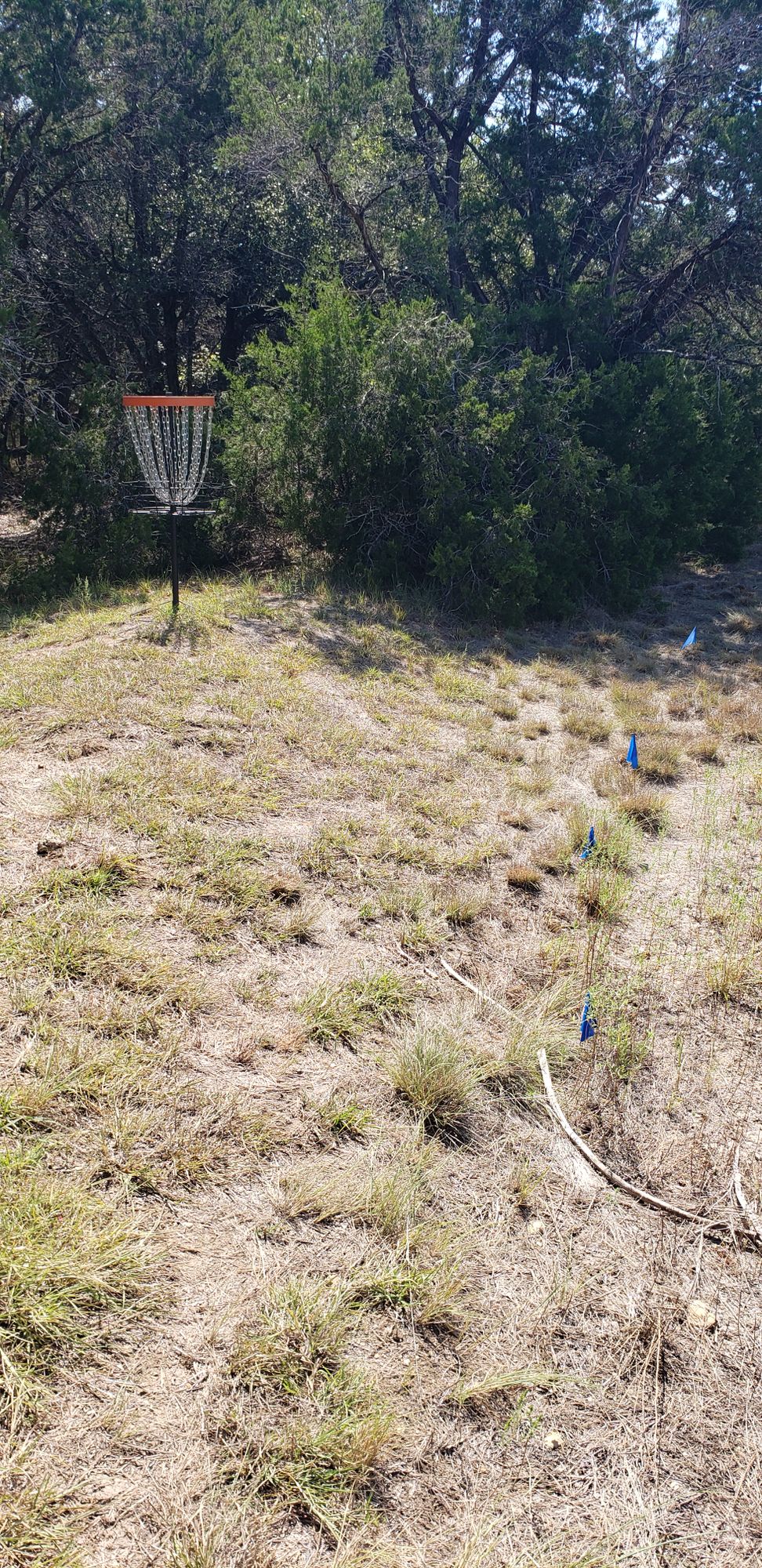 Hole 4 basket