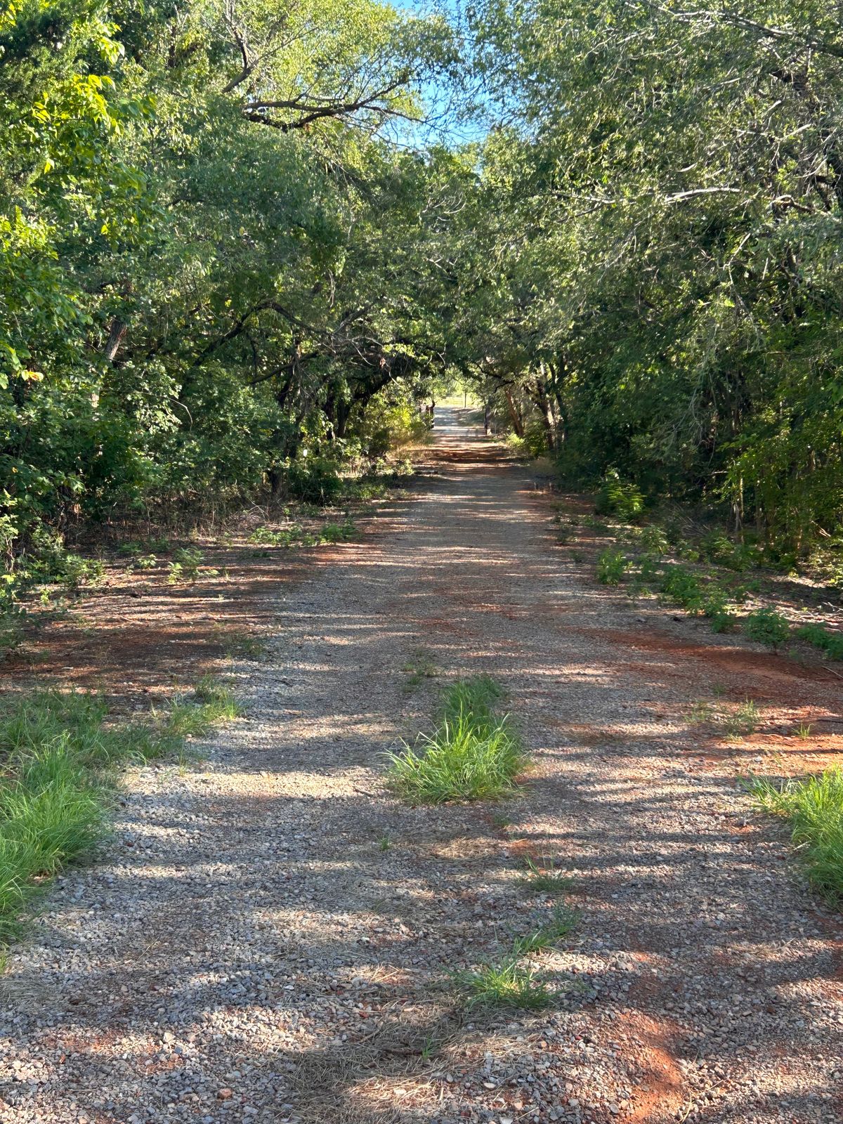 Hole 14 looking back halfway