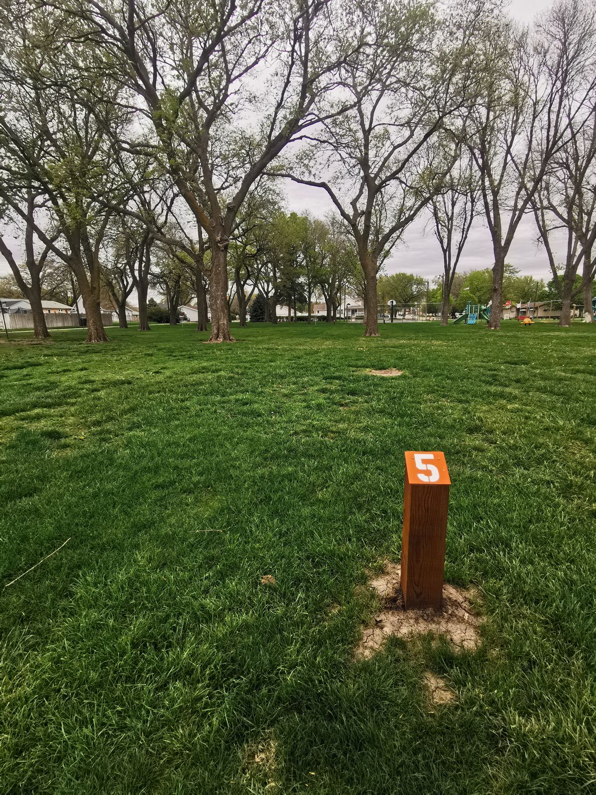 Tee 5