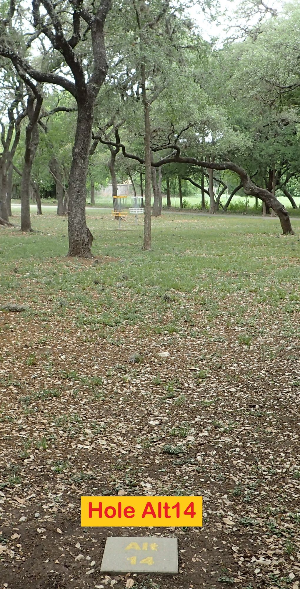 Hole Alt14