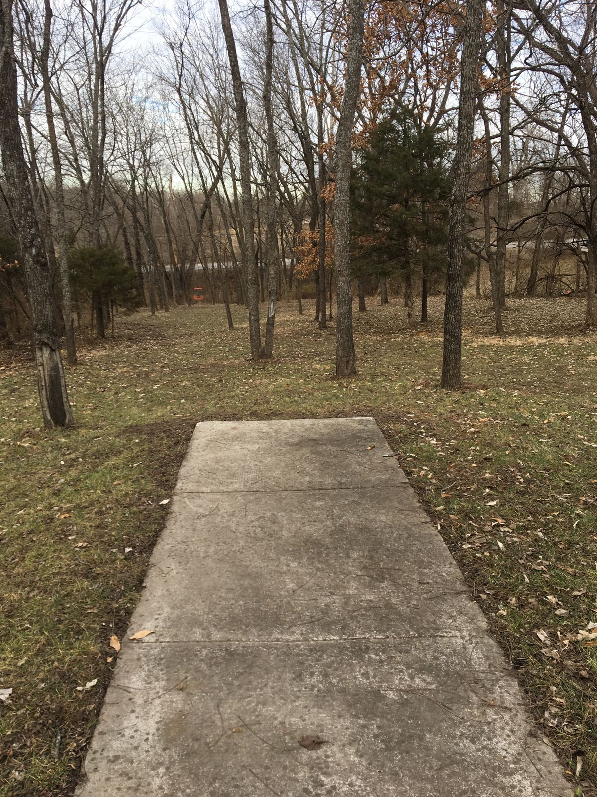 Hole 3 Tee (Short)