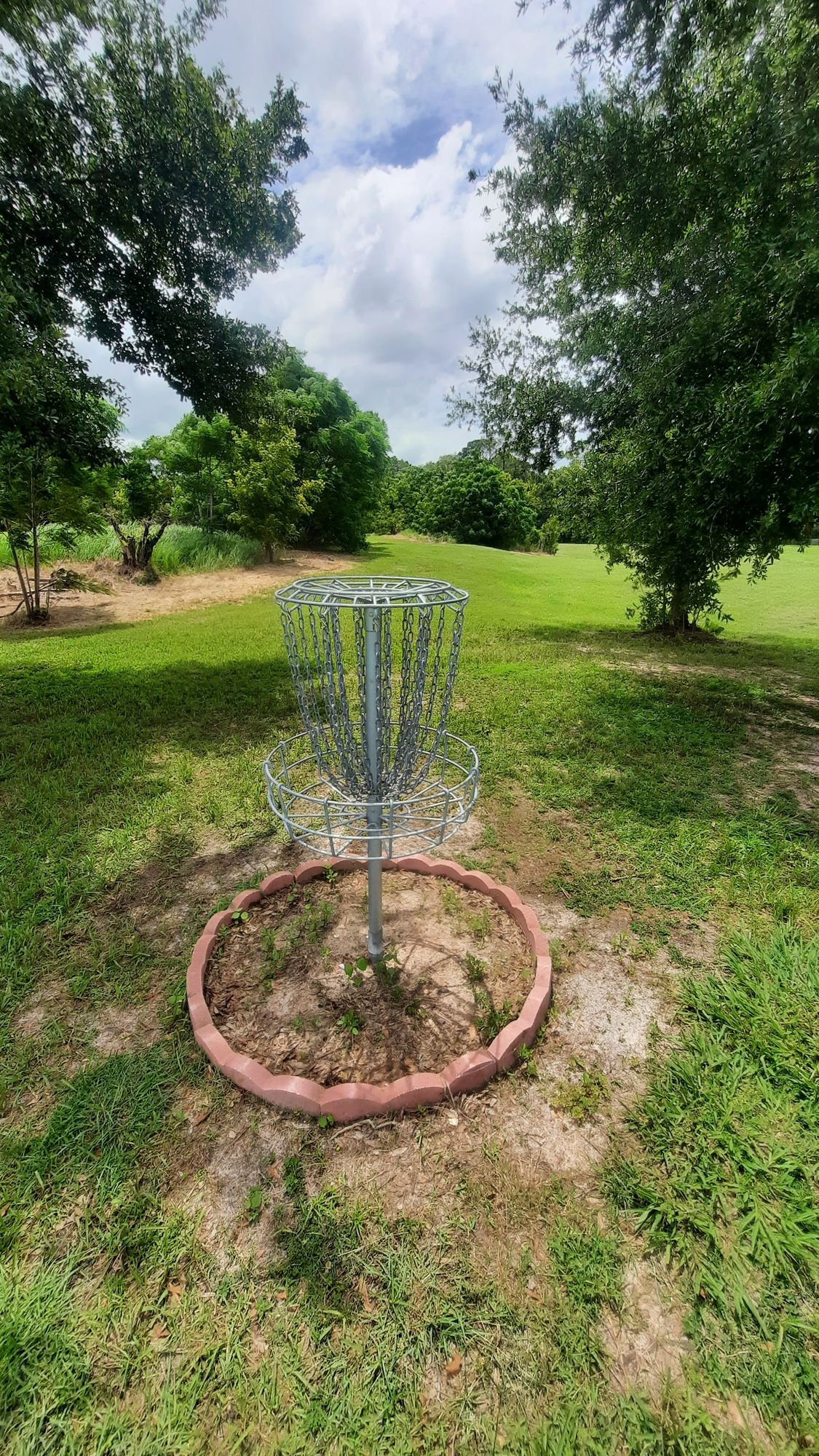 #17