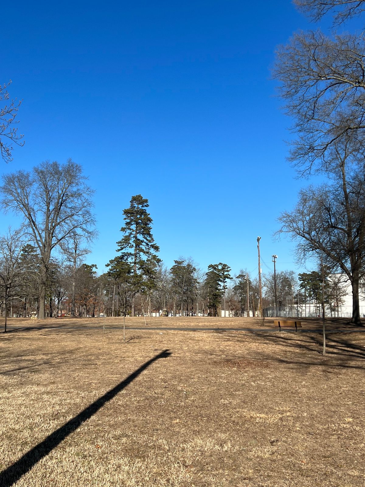 Hole 9 Par 3 243ft