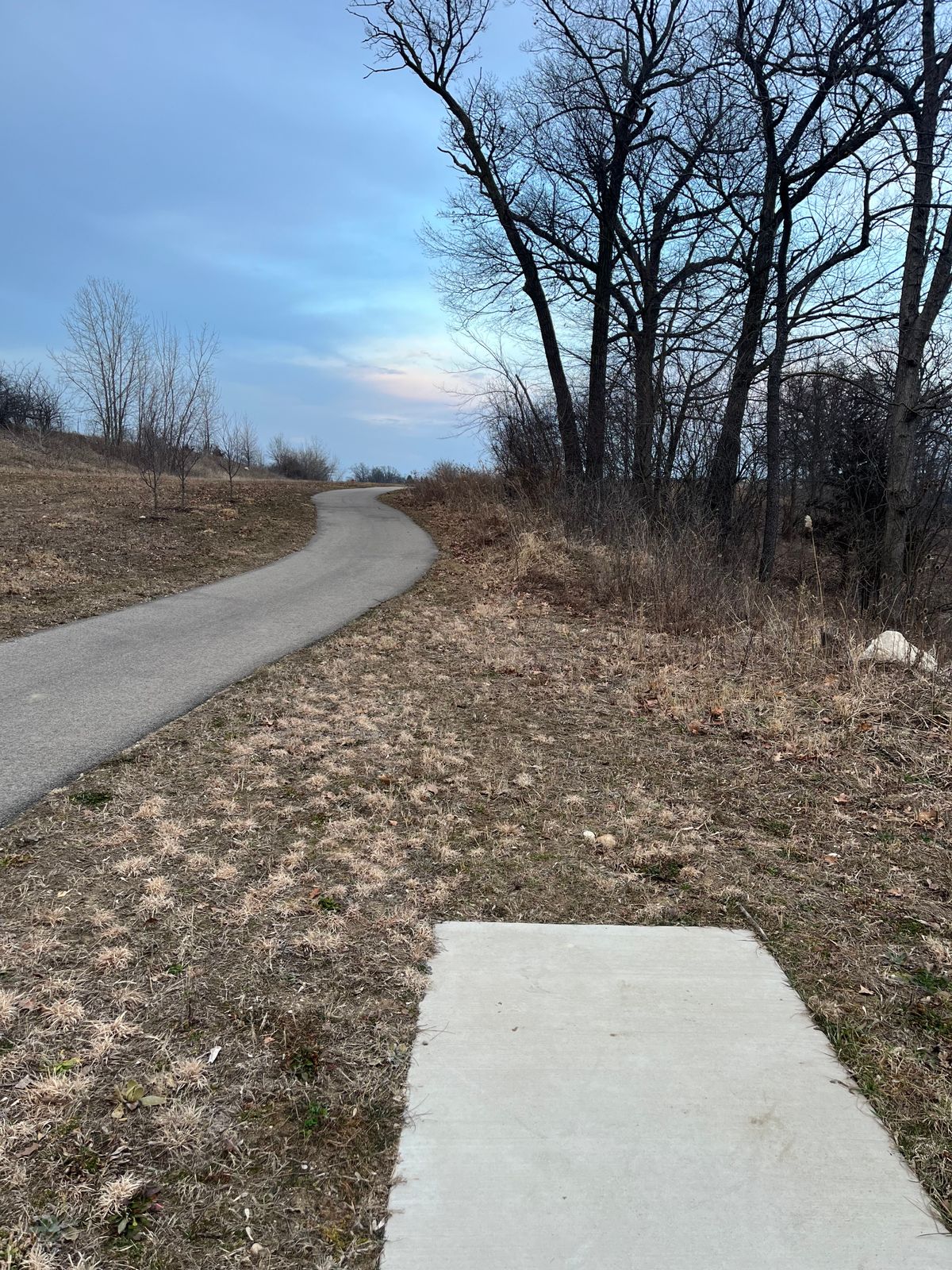 Blind shot uphill and over the walking path. Fore!!!!!