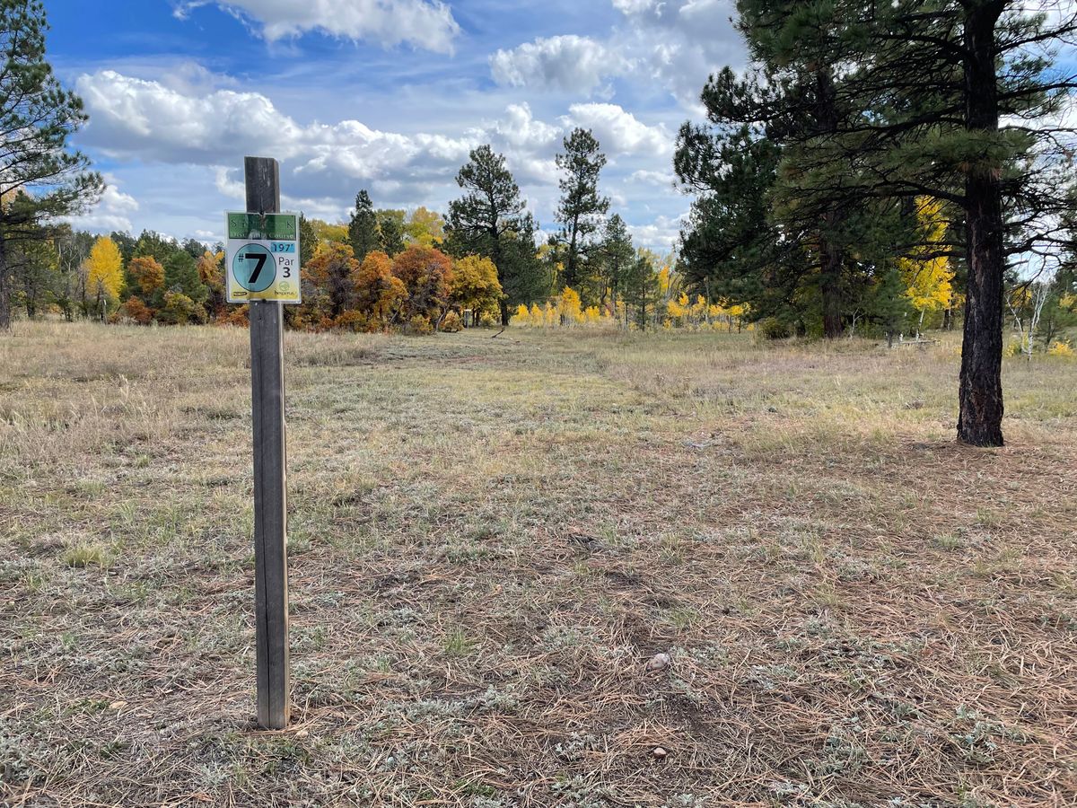 Hole 7 tee Silver Pick Disc Golf Course