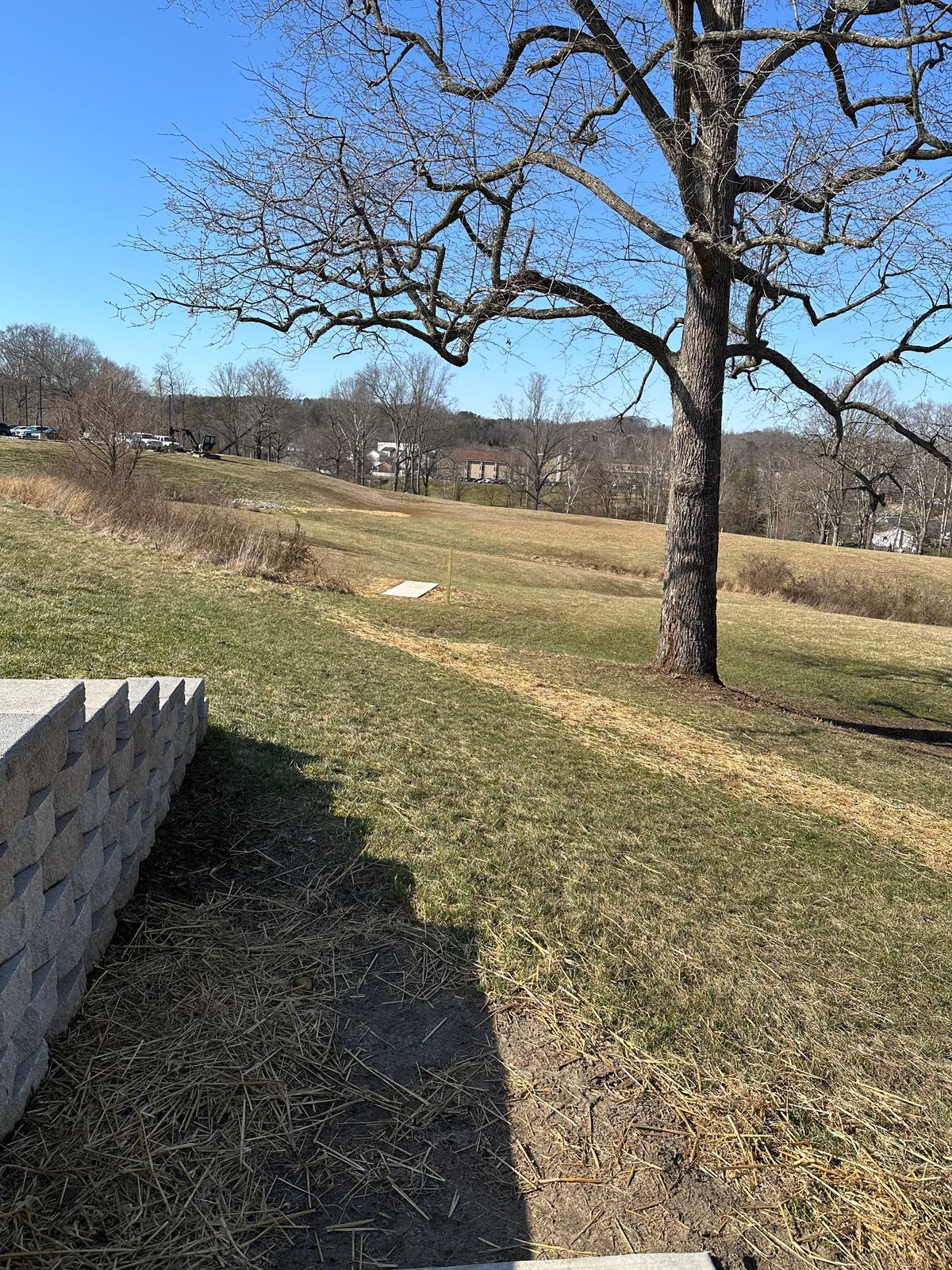 Hole 16 (White)