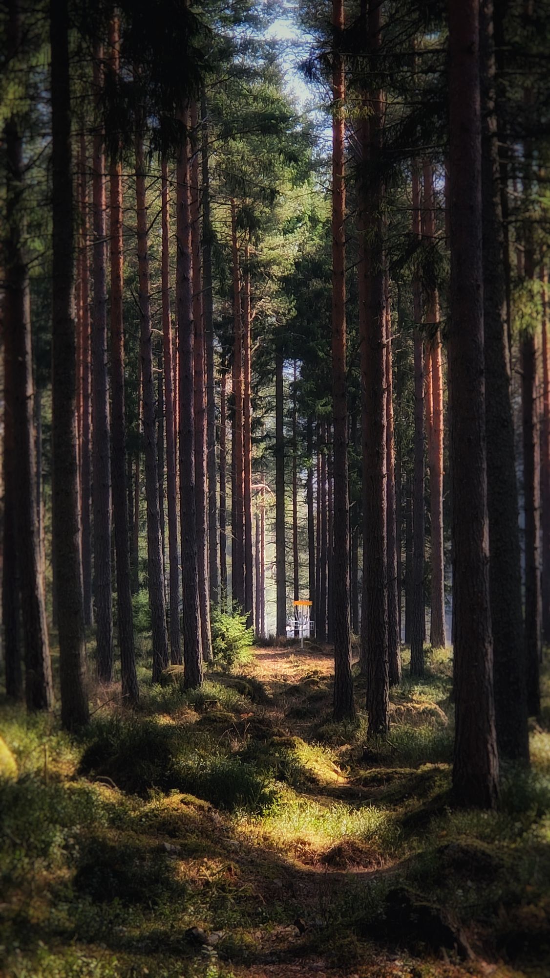 Väylä 18