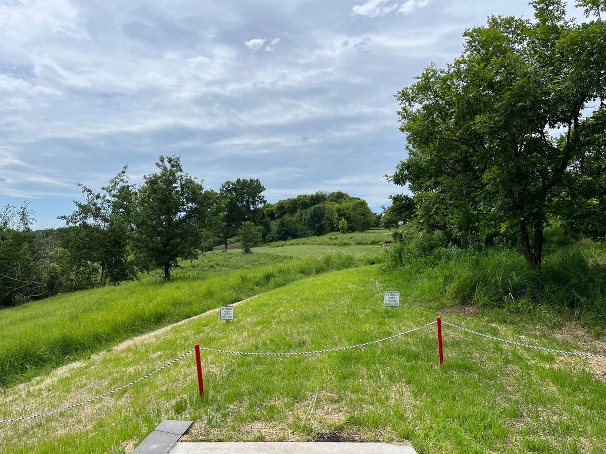 New tee box for 1