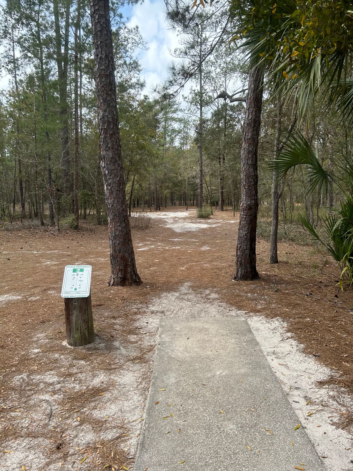#2 Tee (only tee)