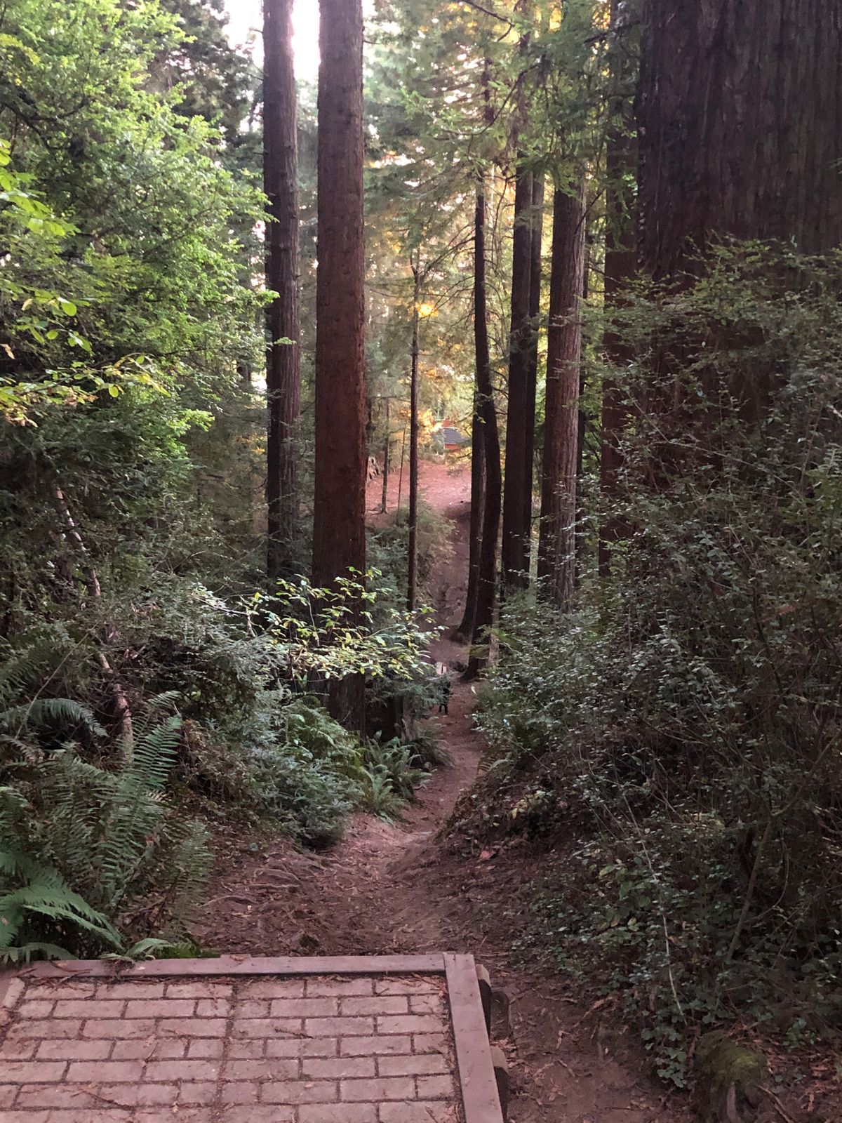 Tee pad 18