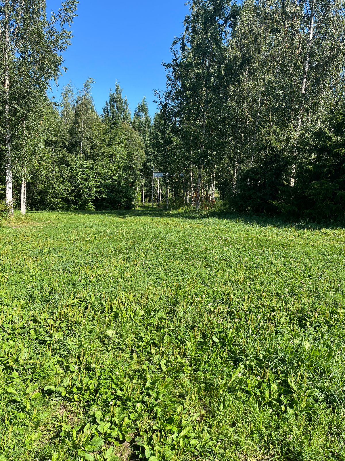Hole 5, mid fairway to tee