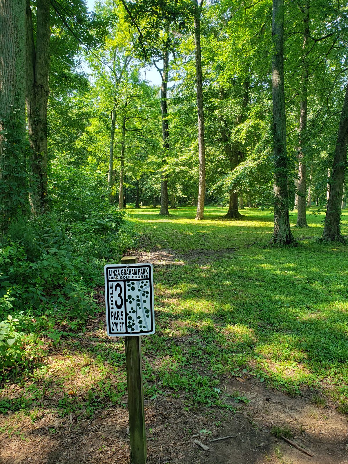 #3 Sign and Fairway,  should be Par 3 for seasoned players.