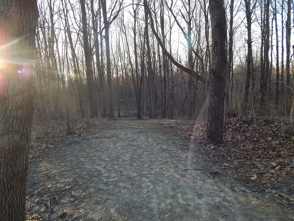 Hole 11 fairway, basket slightly downhill, dogleg to the right