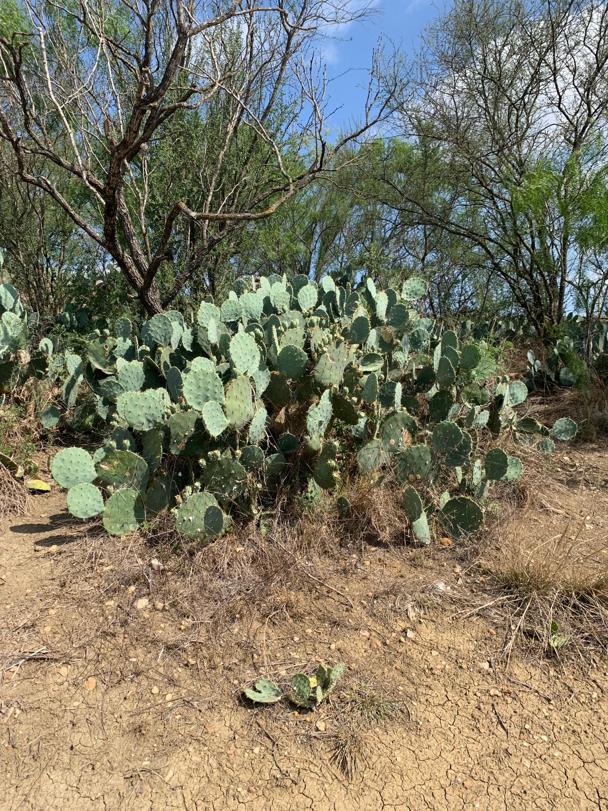 Hole 10!