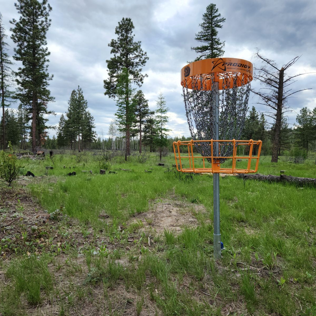 Hole 9's basket