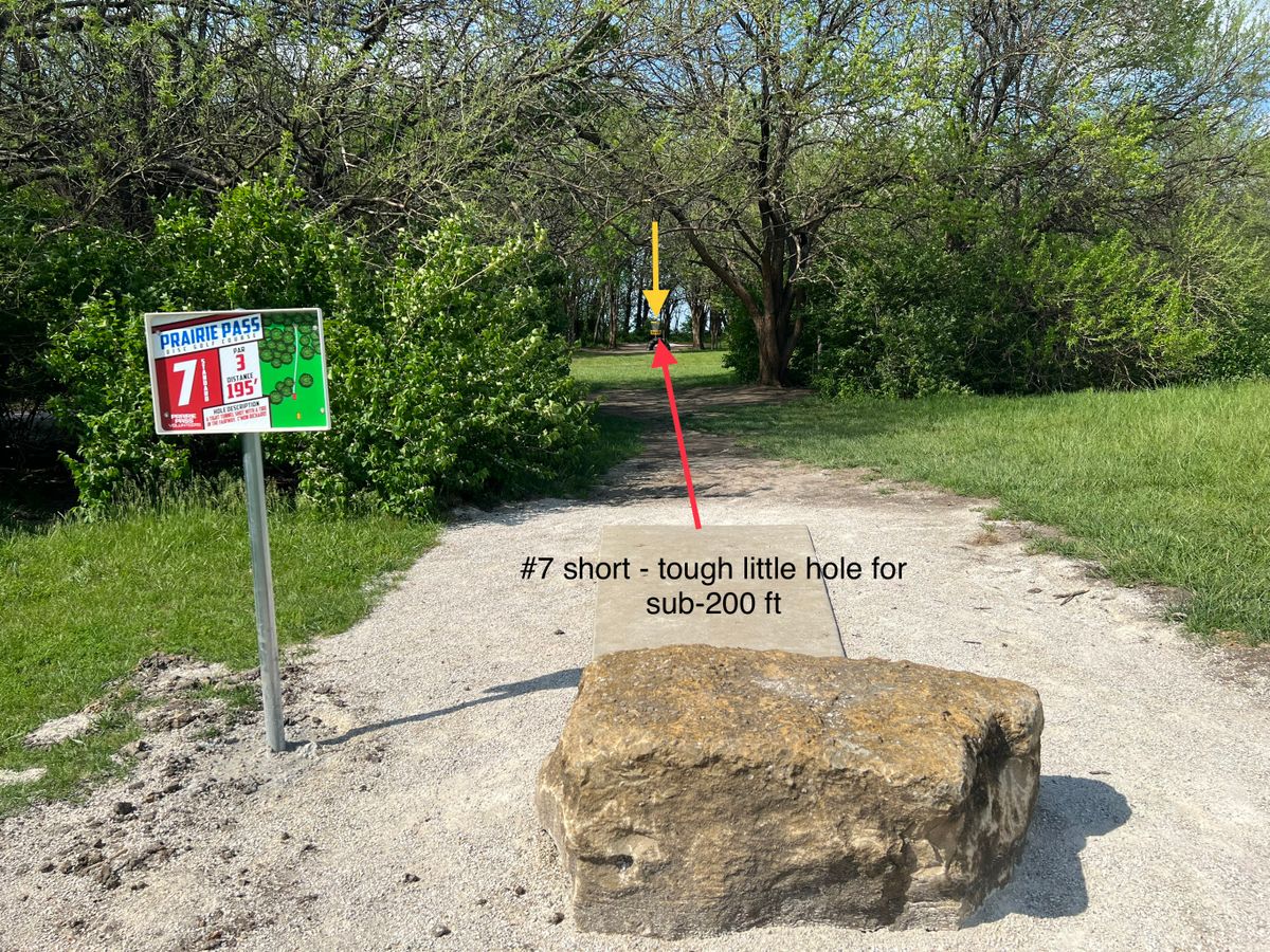 #7 - short