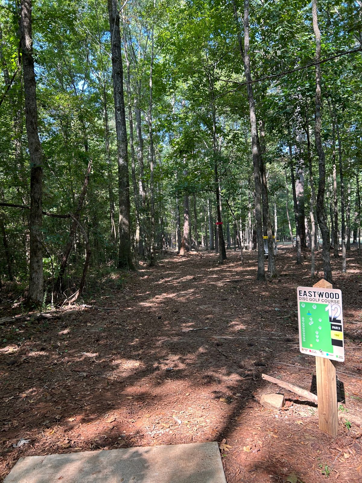 Hole 12 Tee