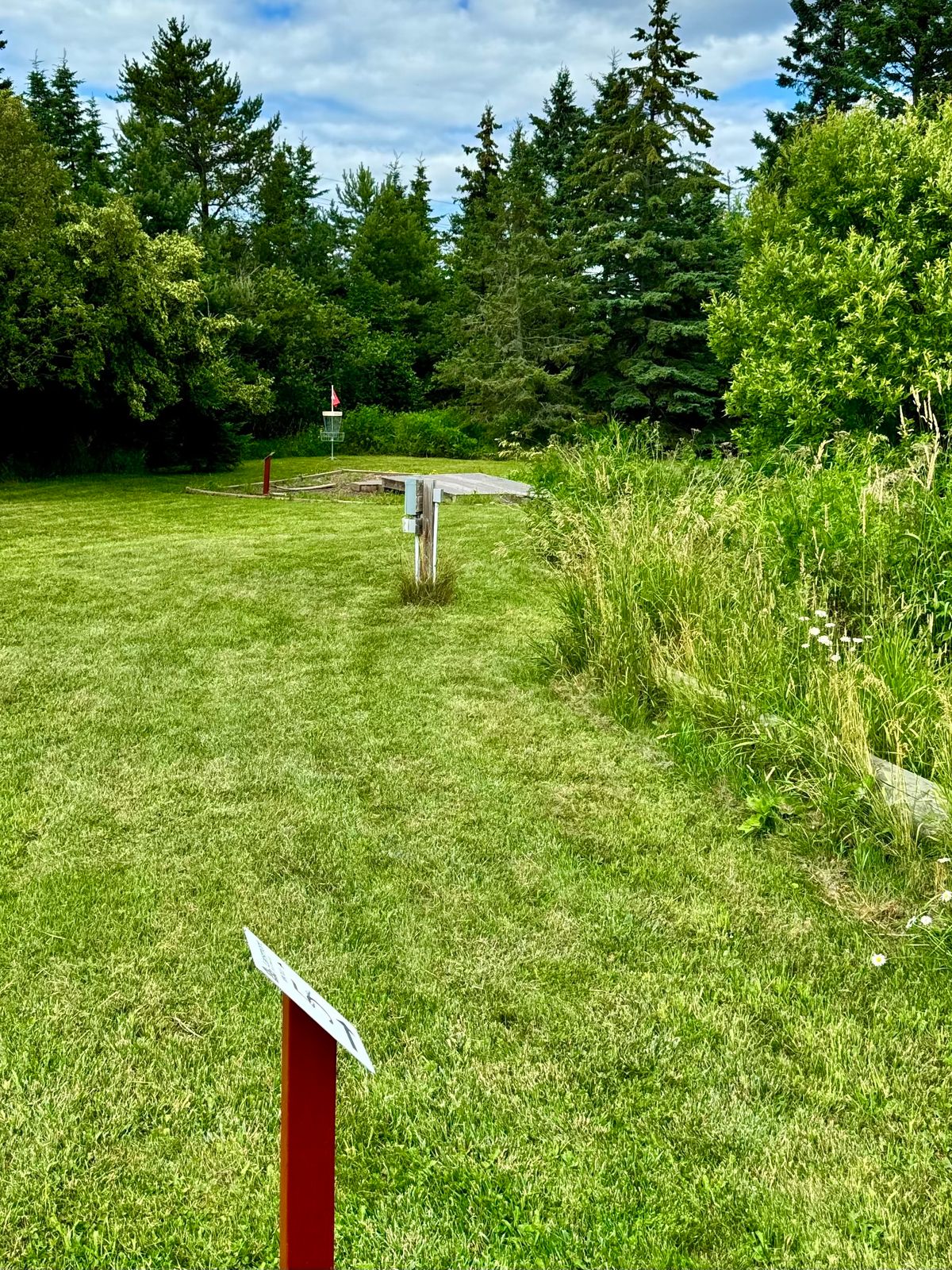 Basket 5 view from the tee