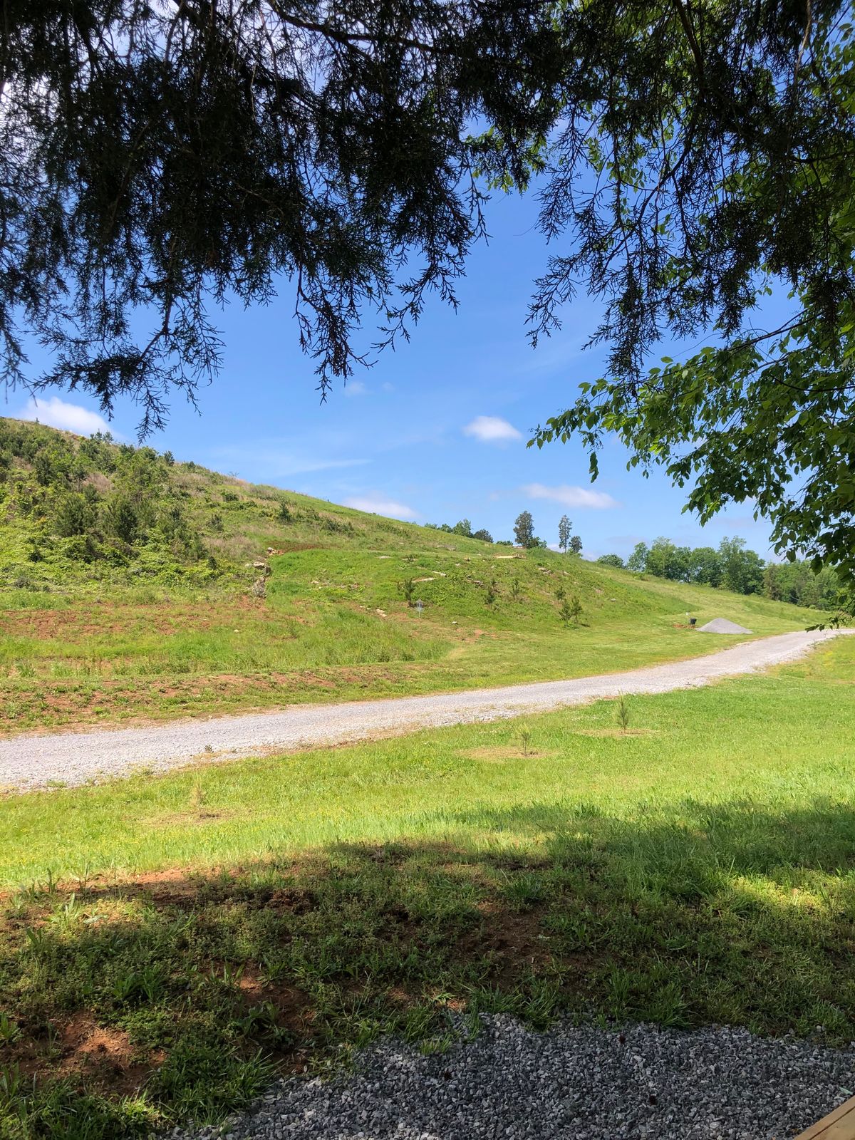 Hole 11
