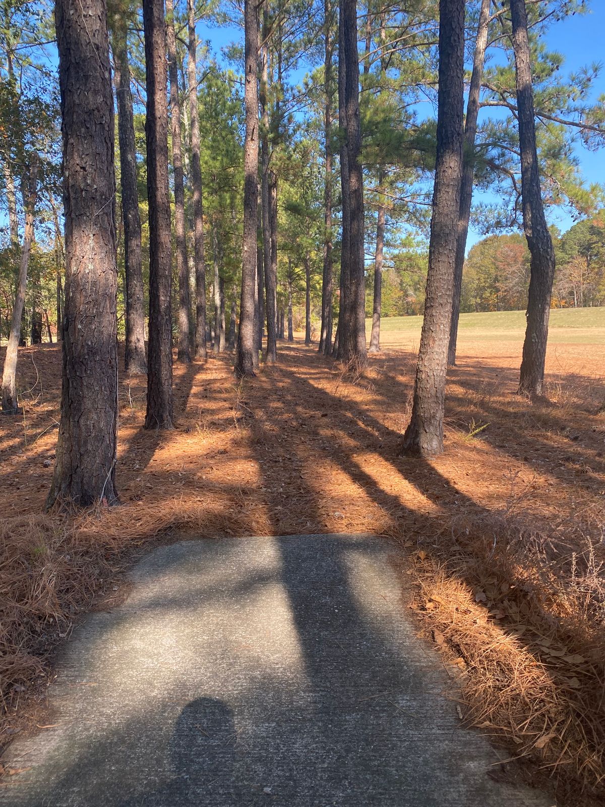 Hole 6 Green/White