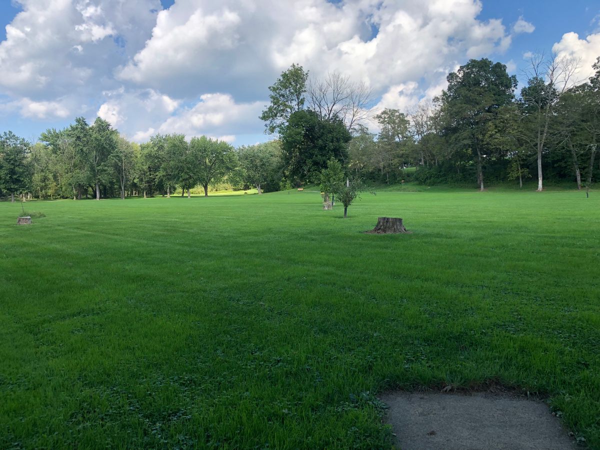 Tee 4