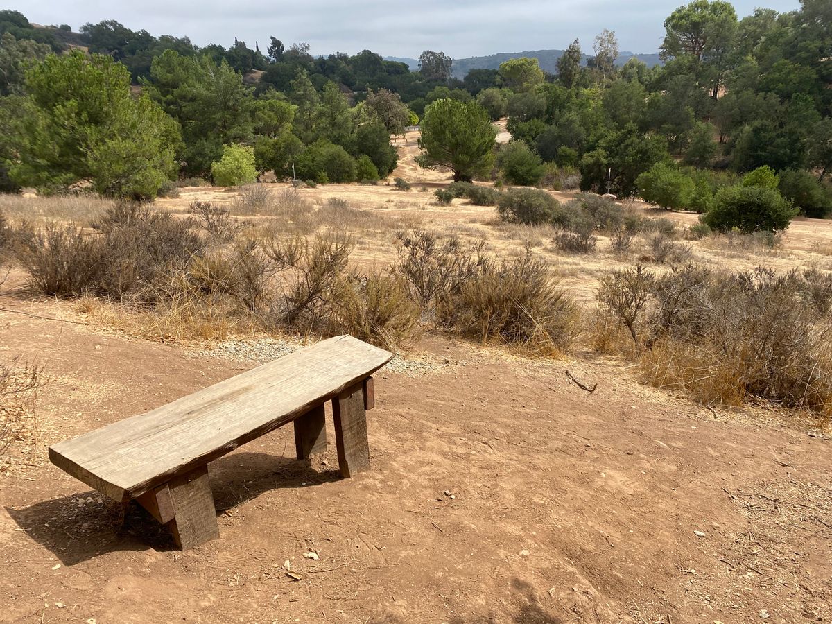 Hole 3 Looking towards 12s and 16s baskets