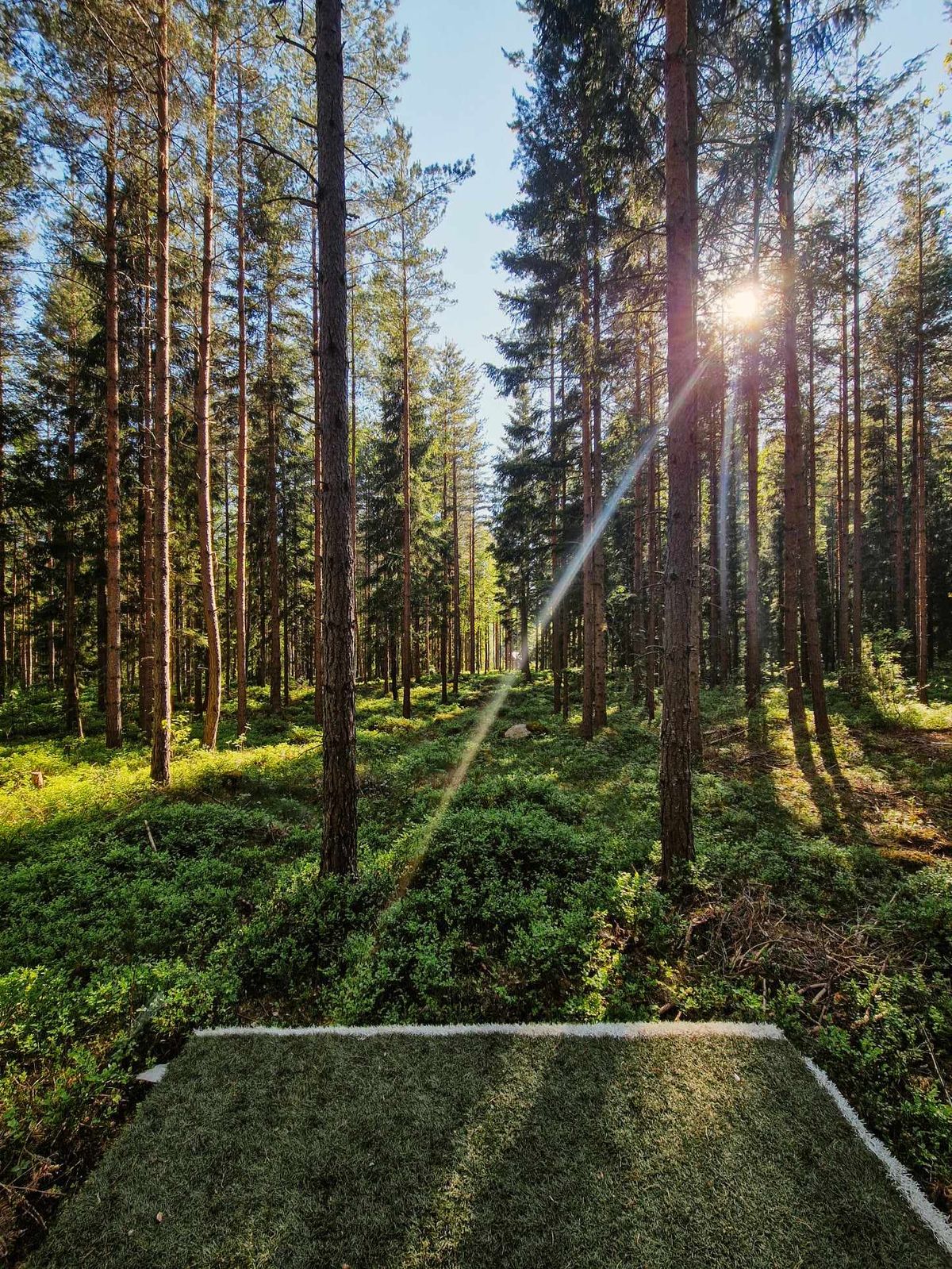 Välkommen till Mullhyttans discgolfbana. Teknisk bana i skogsmiljö.