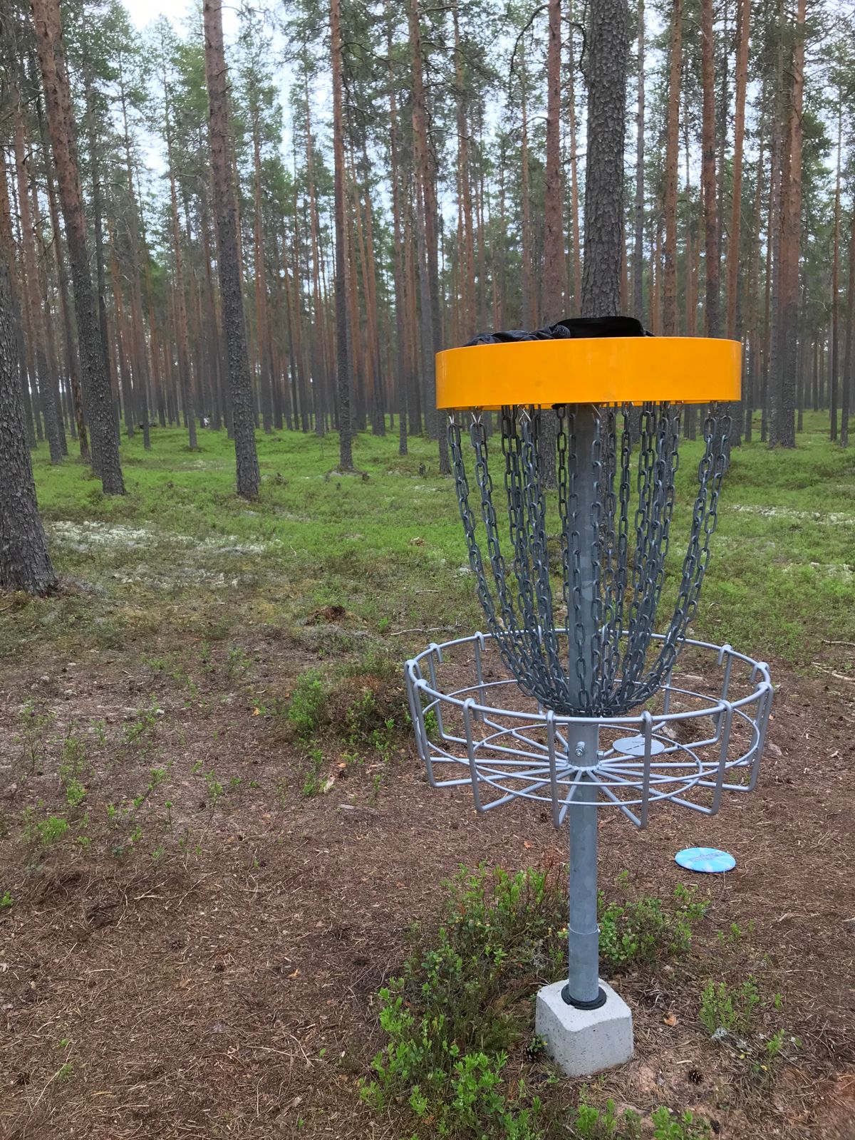 Vaikka on metsärata,niin avaria väyliä eikä liian tiheää metsää.