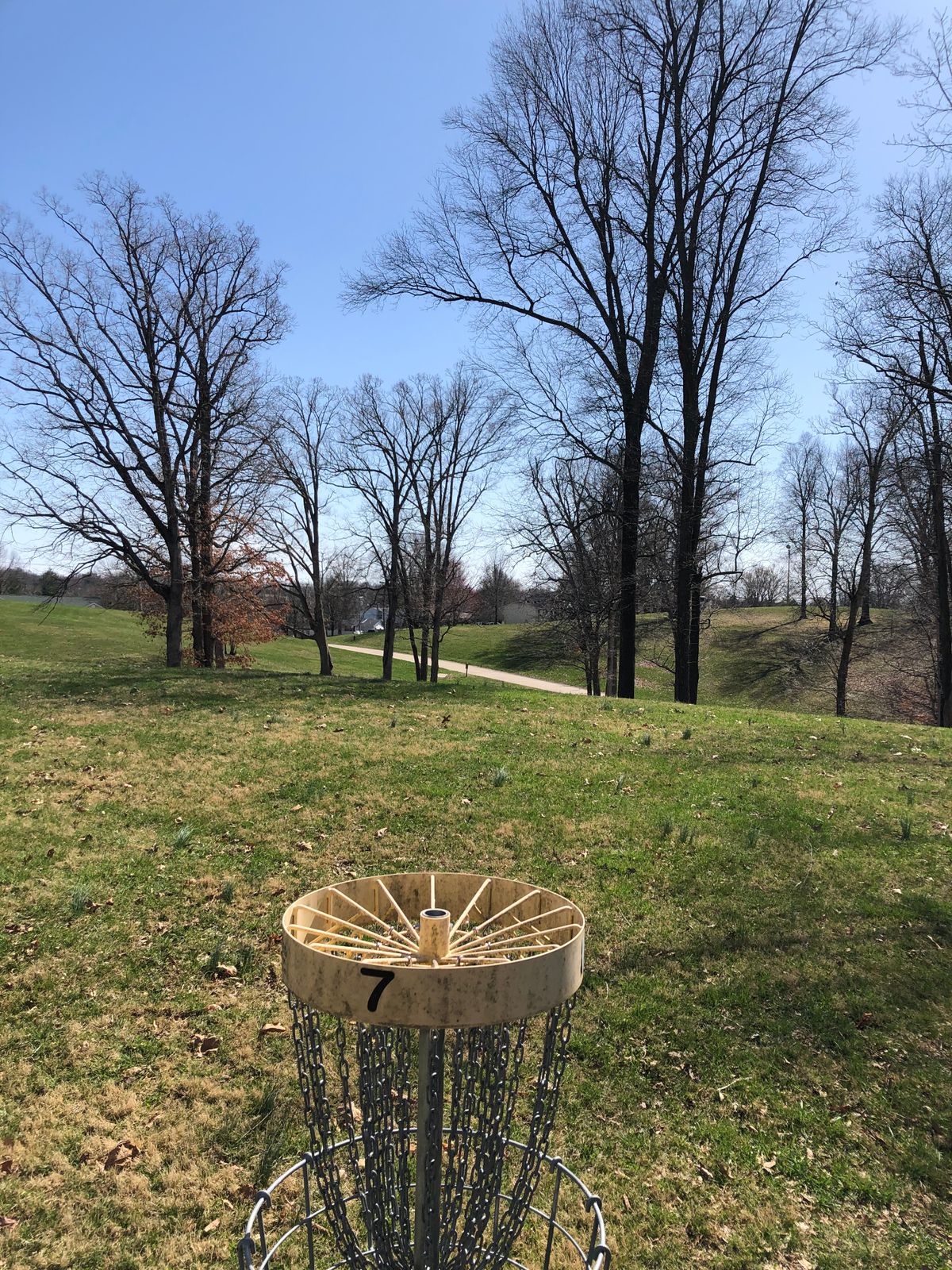 Hole 7