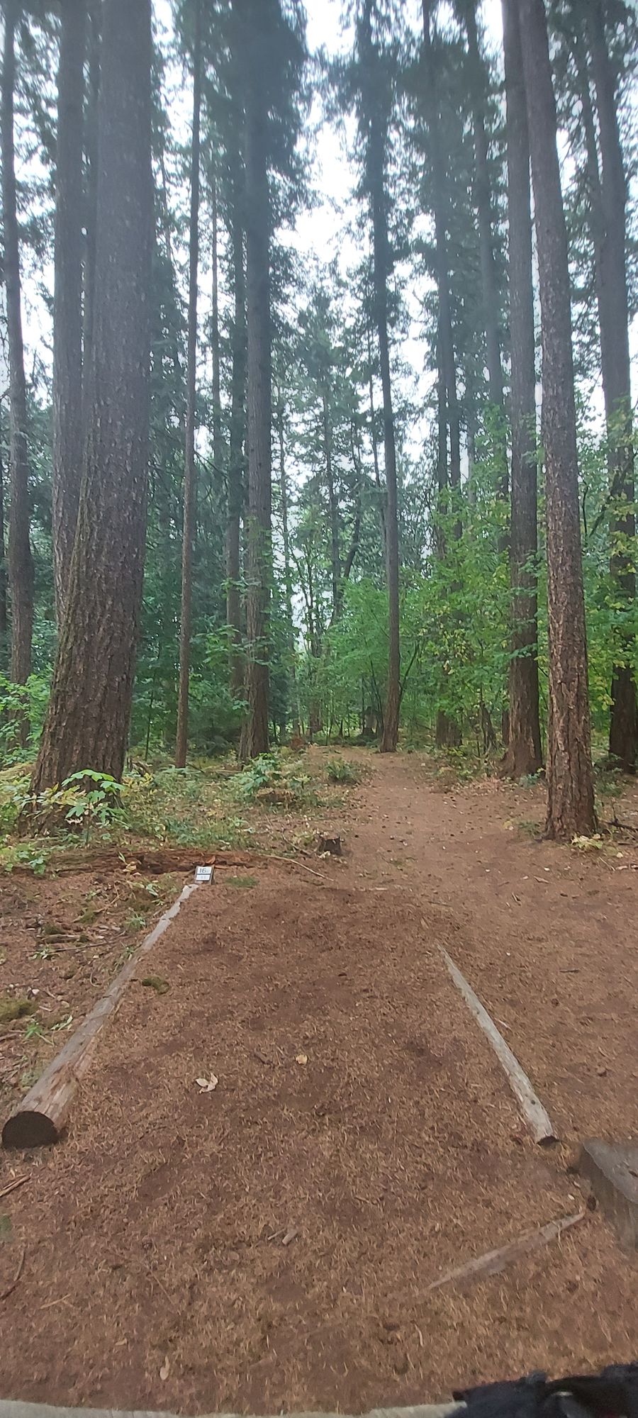 Tee pad 16.🪵🌿🪵🌿🪵