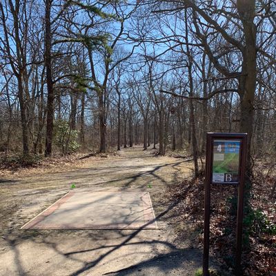 Heckscher Forest Championship Great River NY UDisc Disc Golf