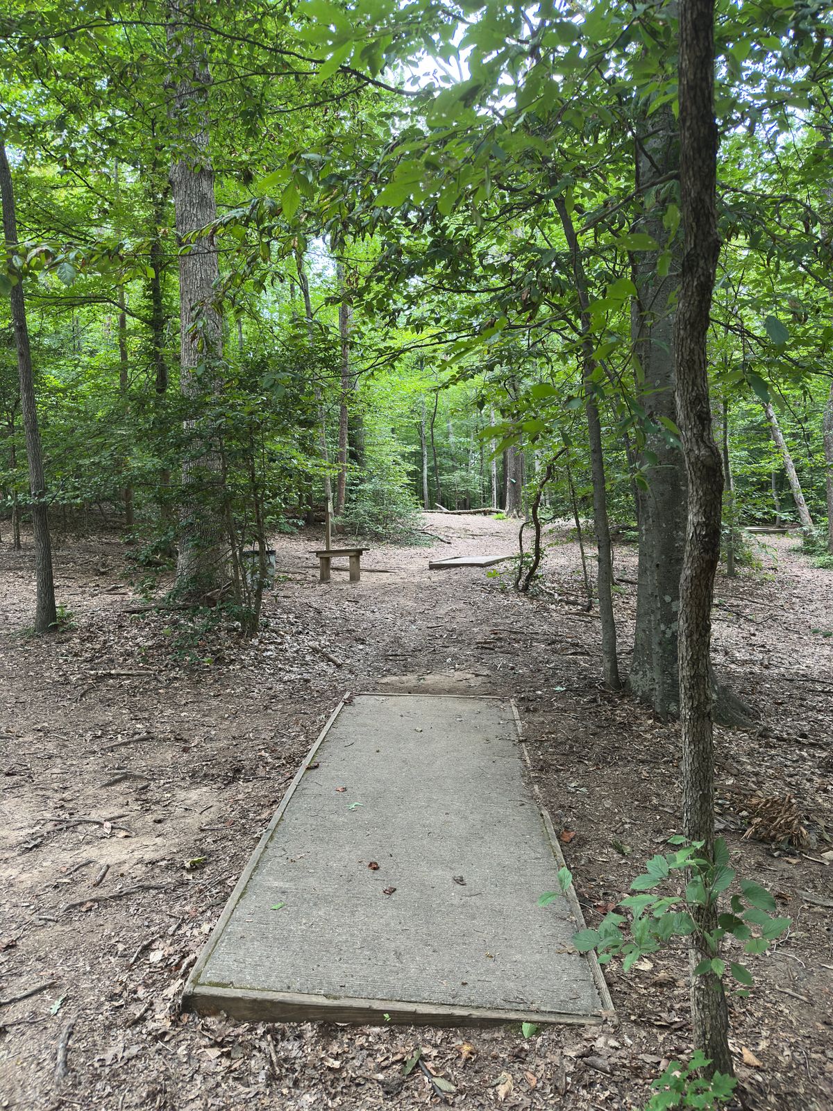 Hole 16 white tee