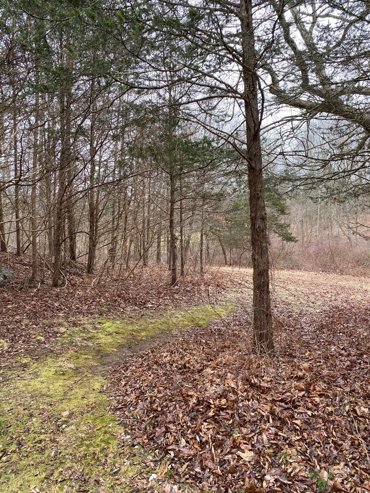 Hole 2 drive landing zone