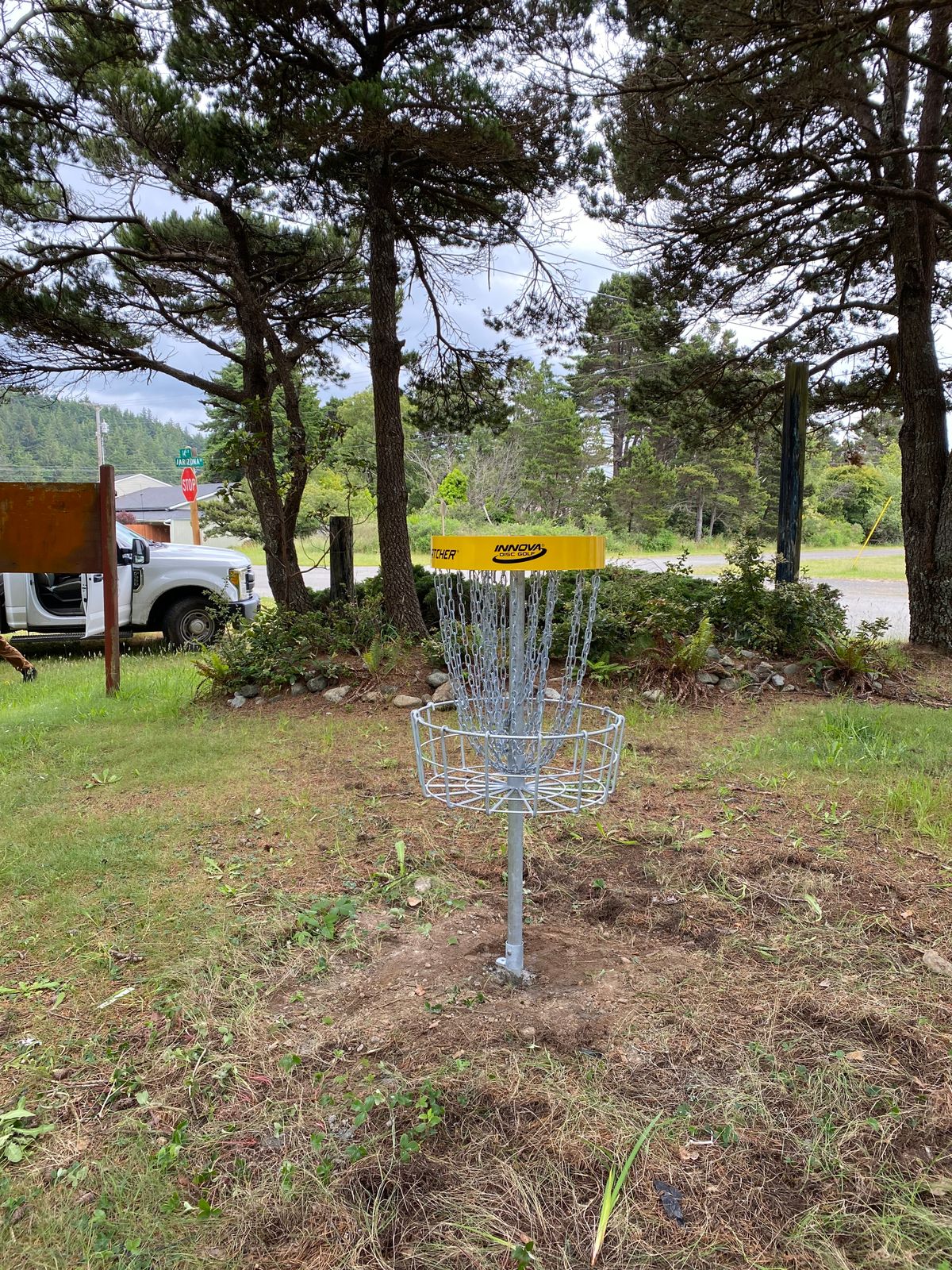 Practice Putting Basket