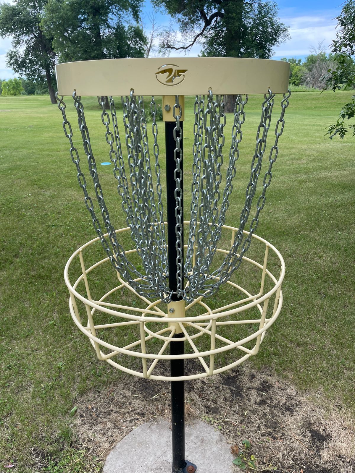 Holey Bucket basket