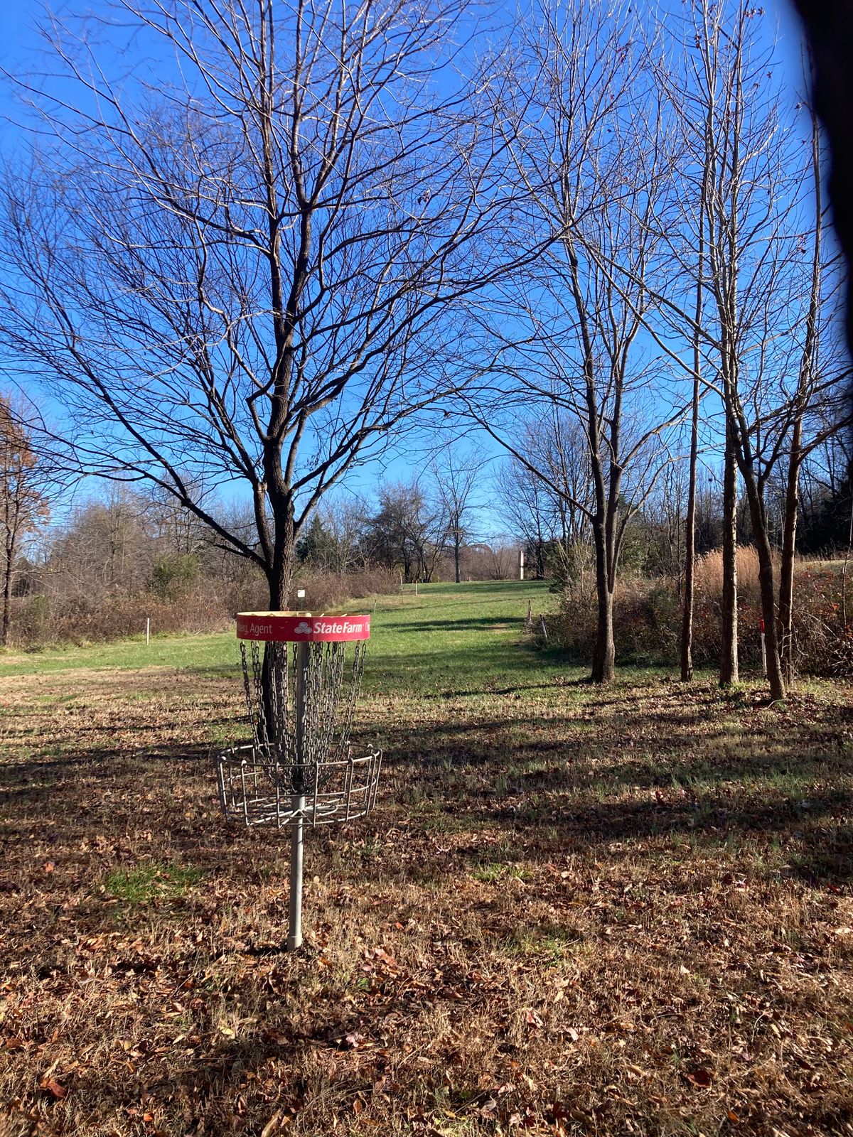 Hole 7 Green