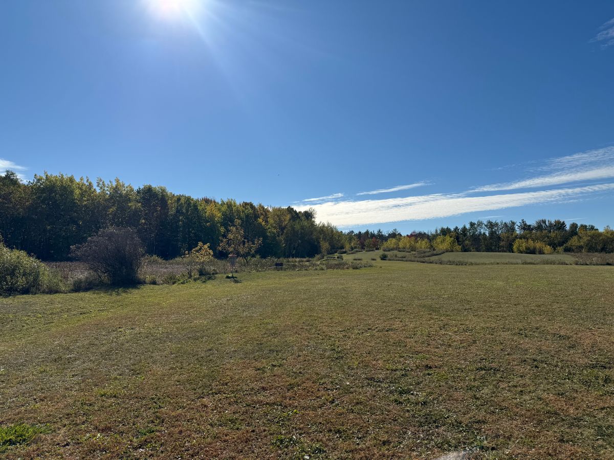 Great open field