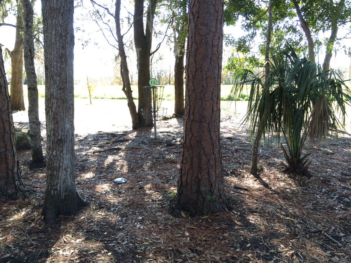 Hole 15