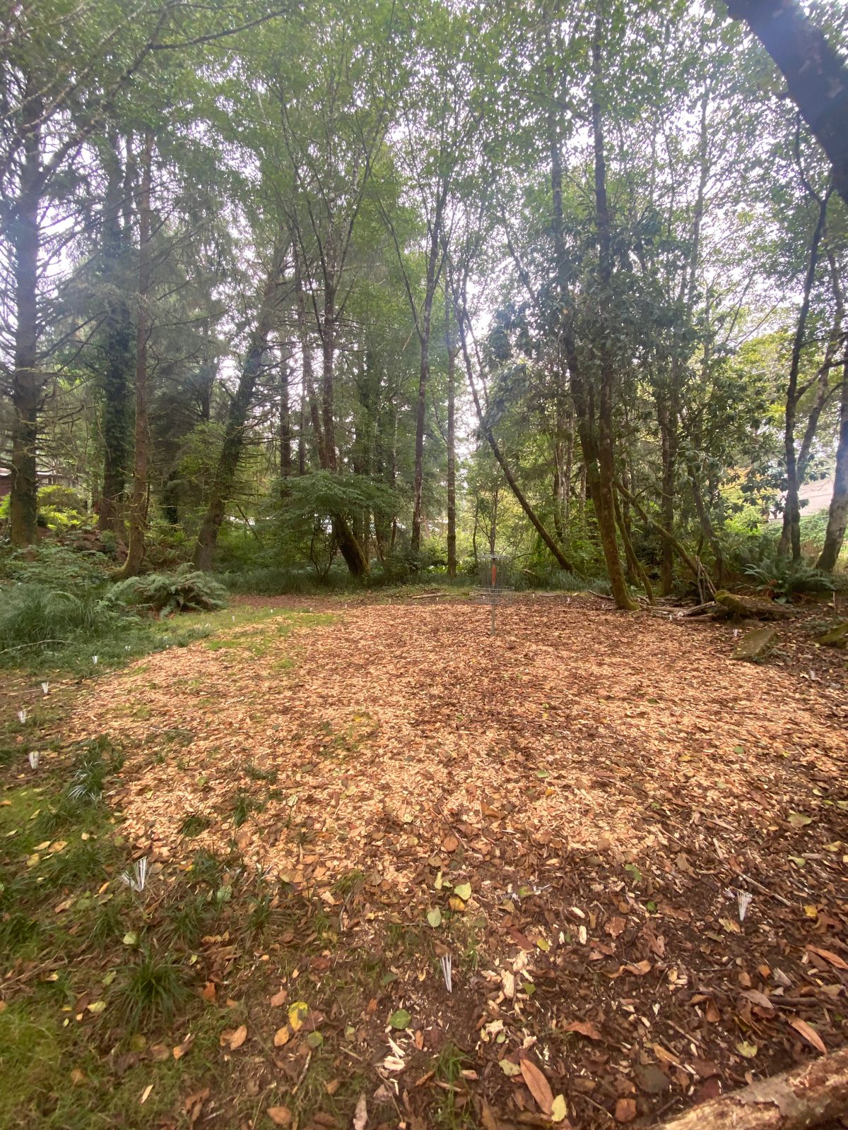 Hole 6 island