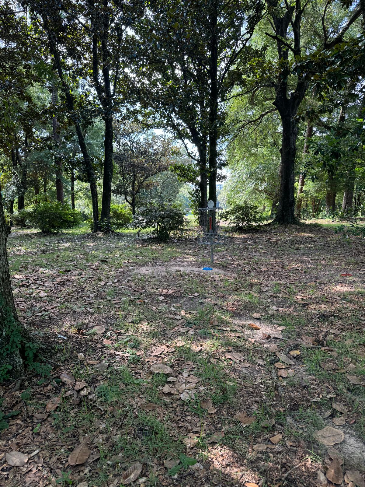 Hole 4