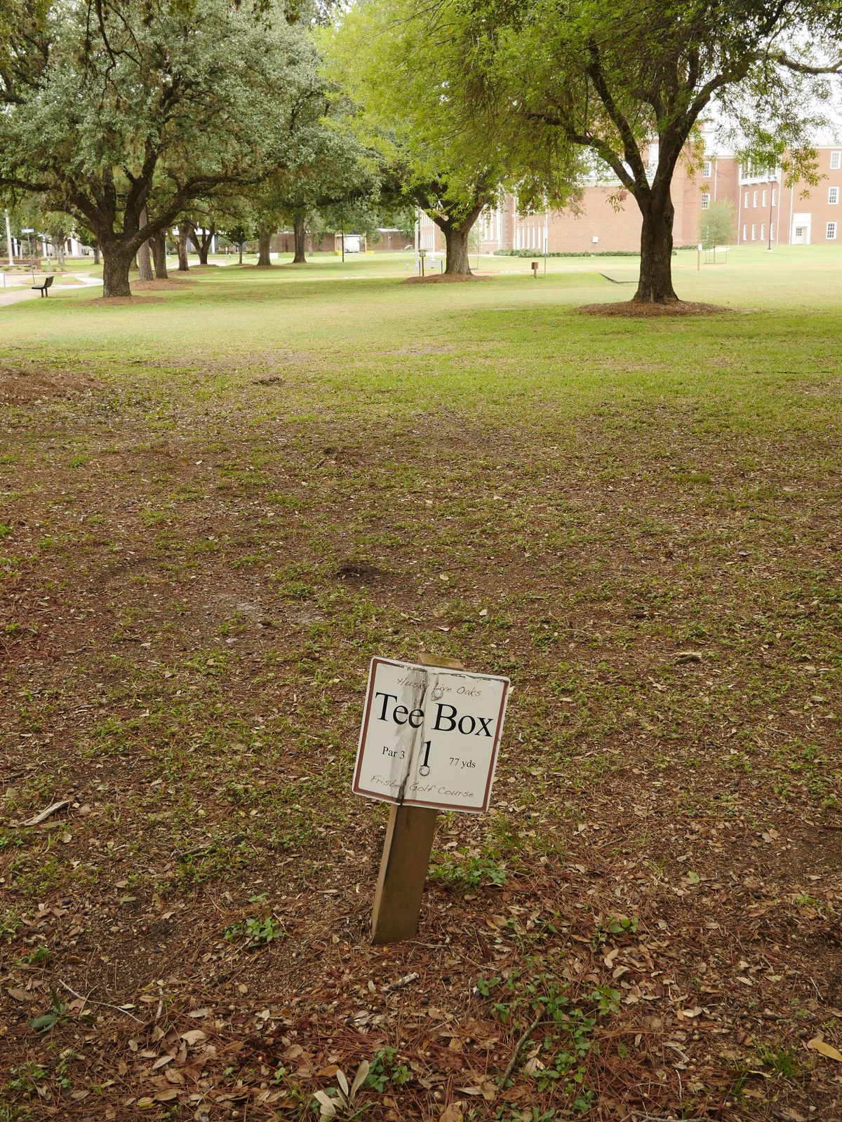Hole 1 — 77 yds (231 ft). Just left of the middle tree.