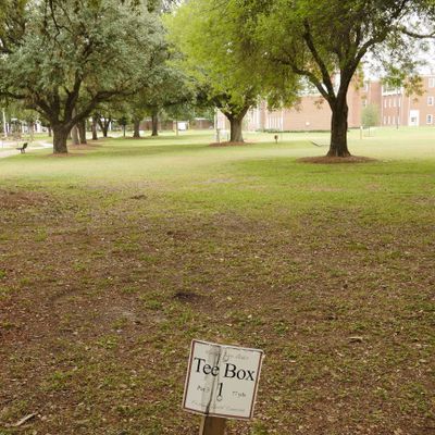 Hole 1 — 77 yds (231 ft). Just left of the middle tree.