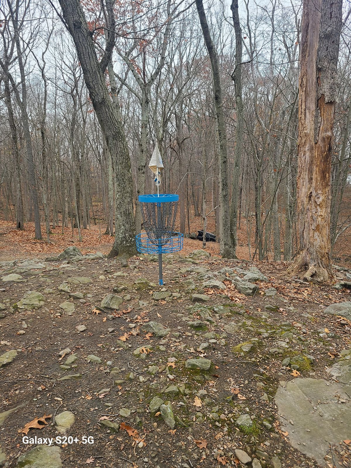 A look down 8 with the newly added parking.