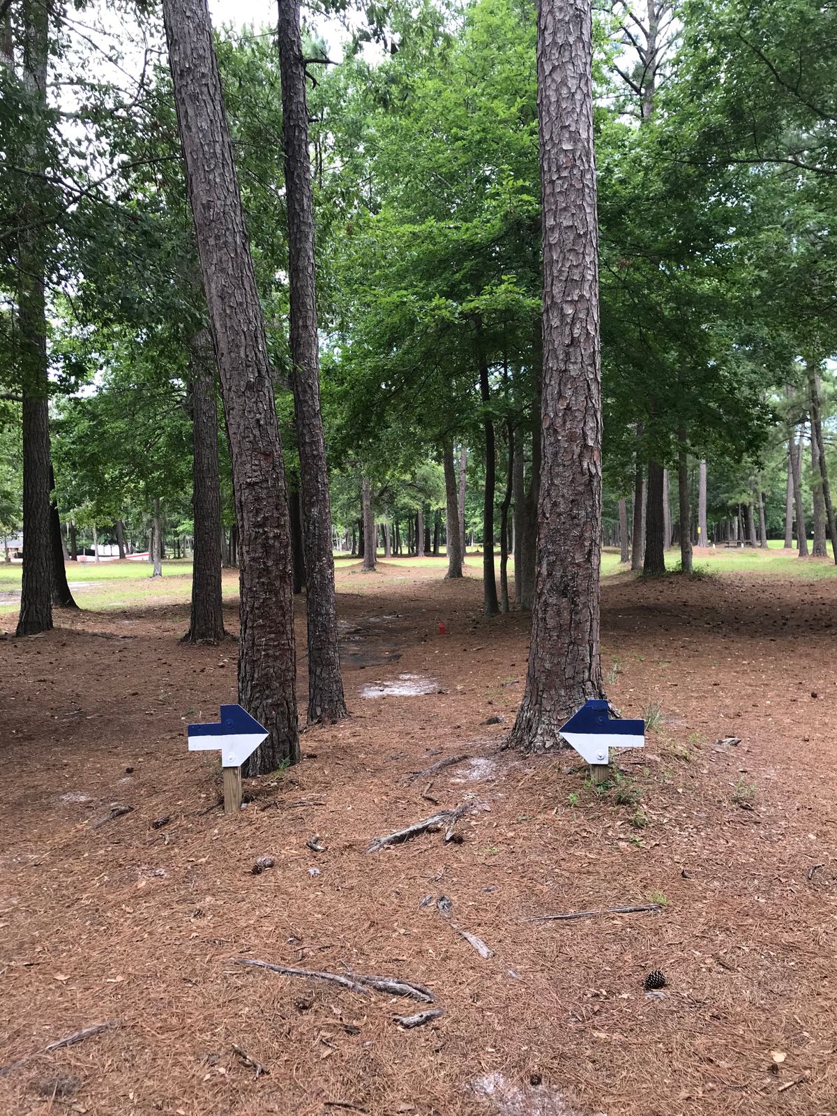 Hole 13 tee