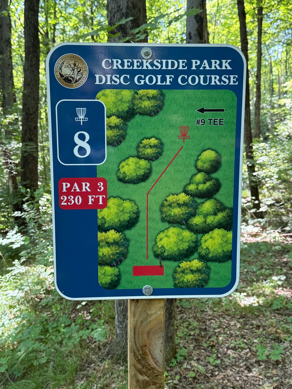 Hole 8 Creekside park