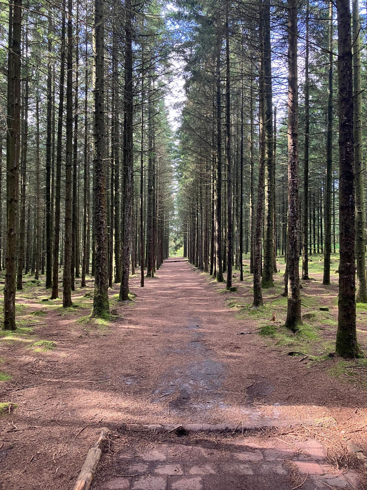 Tee on Hole 11 in the summer afternoon